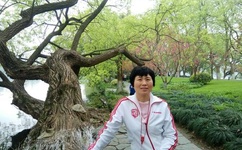 四虎视频在线观看2021